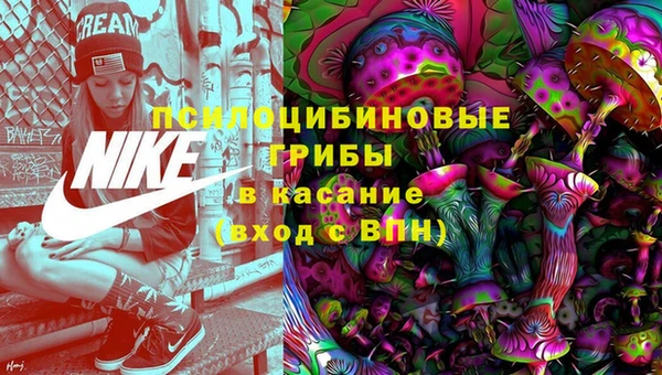 крисы Армянск