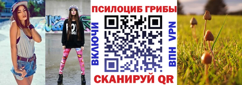 Галлюциногенные грибы мухоморы  купить закладку  мега ONION  Богородицк 