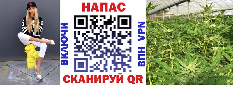 купить наркотик ссылка на мегу зеркало МАРИХУАНА семена Богородицк